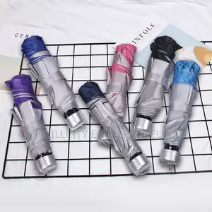 Silver Pocket Umbrella
