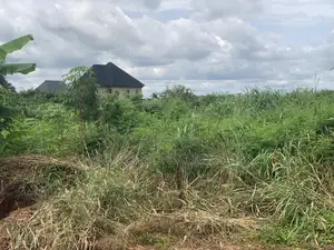 3 Sharable Plots of Land at Ogbaku by Umuekpu
