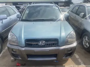 Hyundai Tucson 2007 Blue