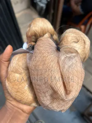Vee Hairven