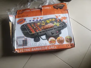 Electric Barbecue Grill