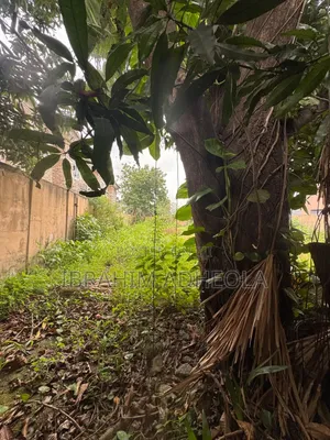 An Empty Land Measuring 777sqm Fenced and Gated, in a Lovely Locatio