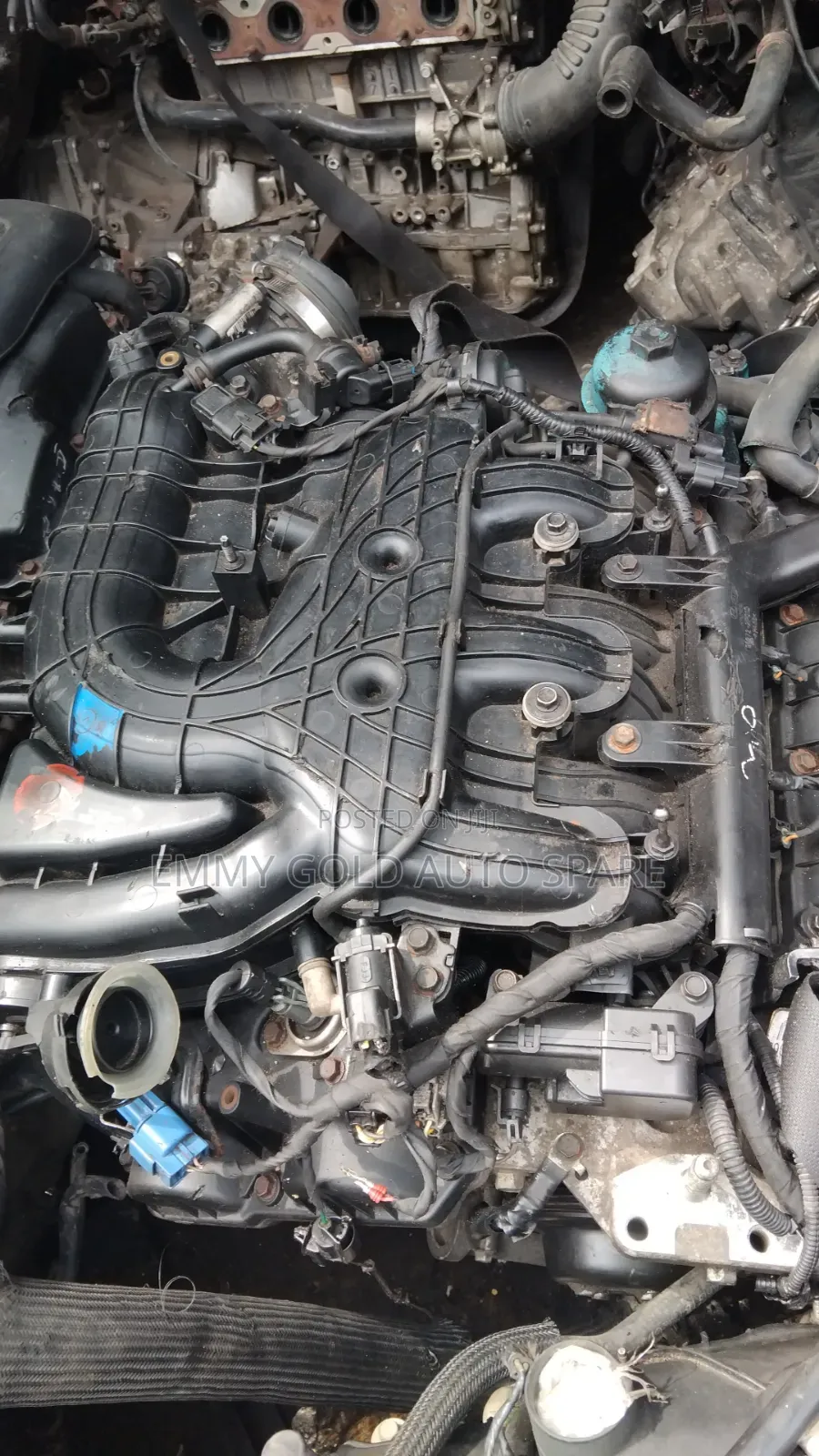 Hyundai Engine V6 Available
