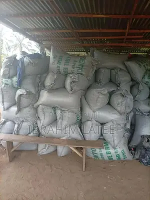 Coconut Shell Charcoal