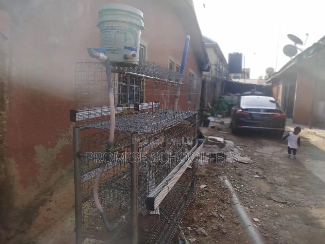 Battery Cage
