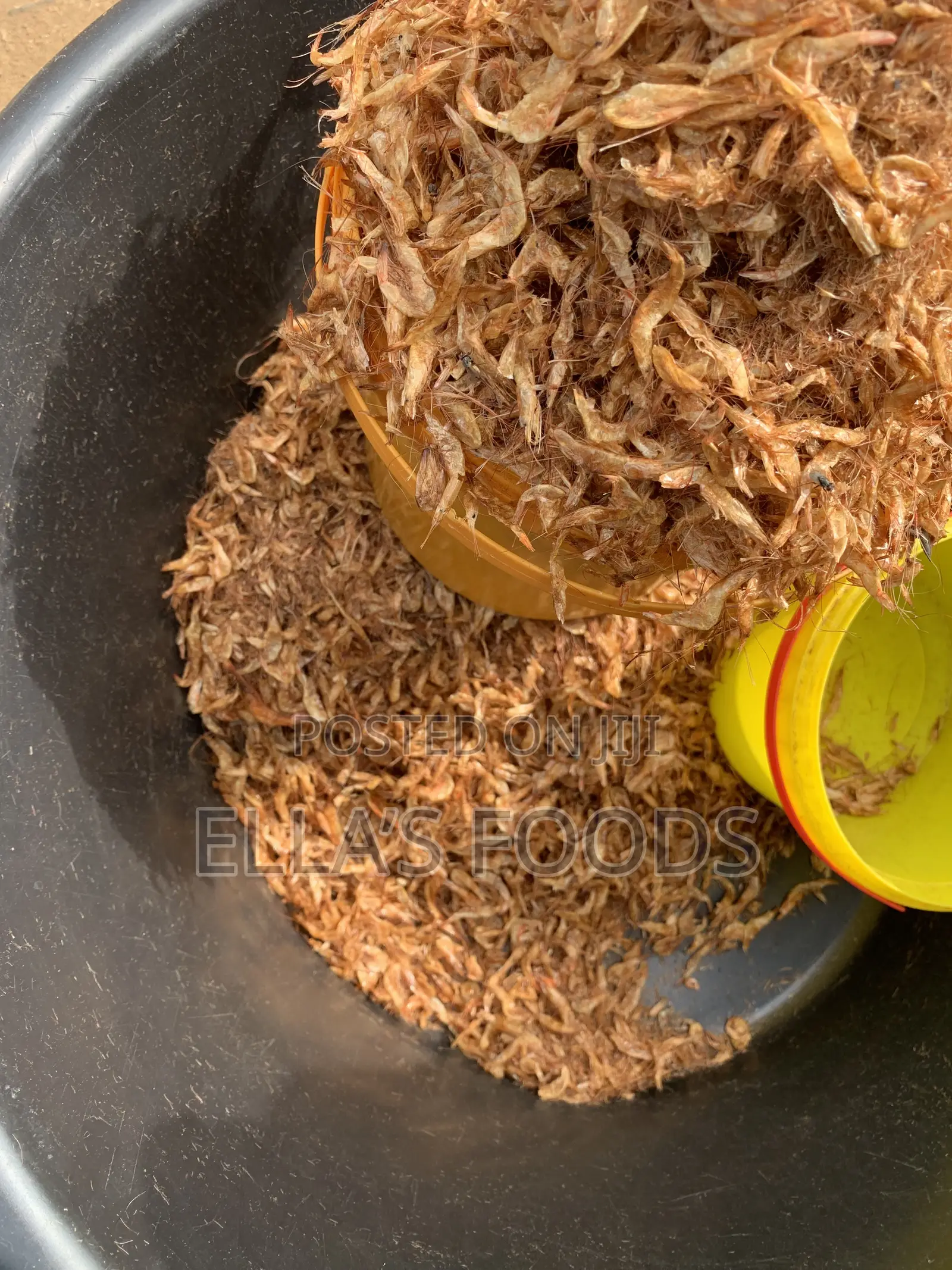 Oron Crayfish