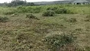 Land Property
