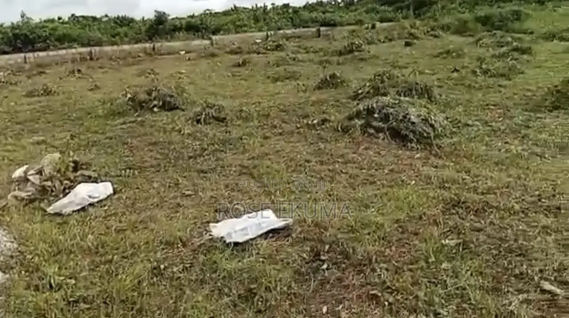 Land Property