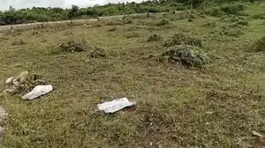 Land Property