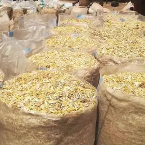 Beans Chaff Residue Food Waste as Ruminant Feed (Goat, Sheep, Cow)