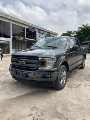 Ford F-150 2019 Gray