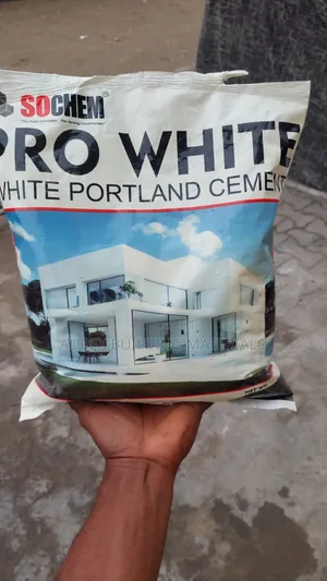 Sochen Pro White Portland Cement 5kg