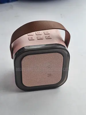  Wireless Karaoke Bluetooth Speaker