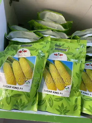 Sugar King Corn