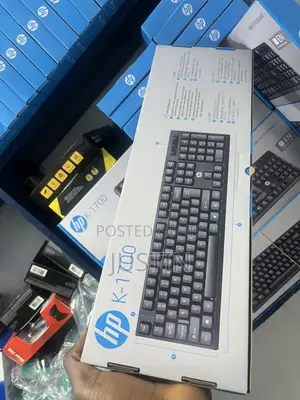 HP K-1700 Long Wired Keyboard