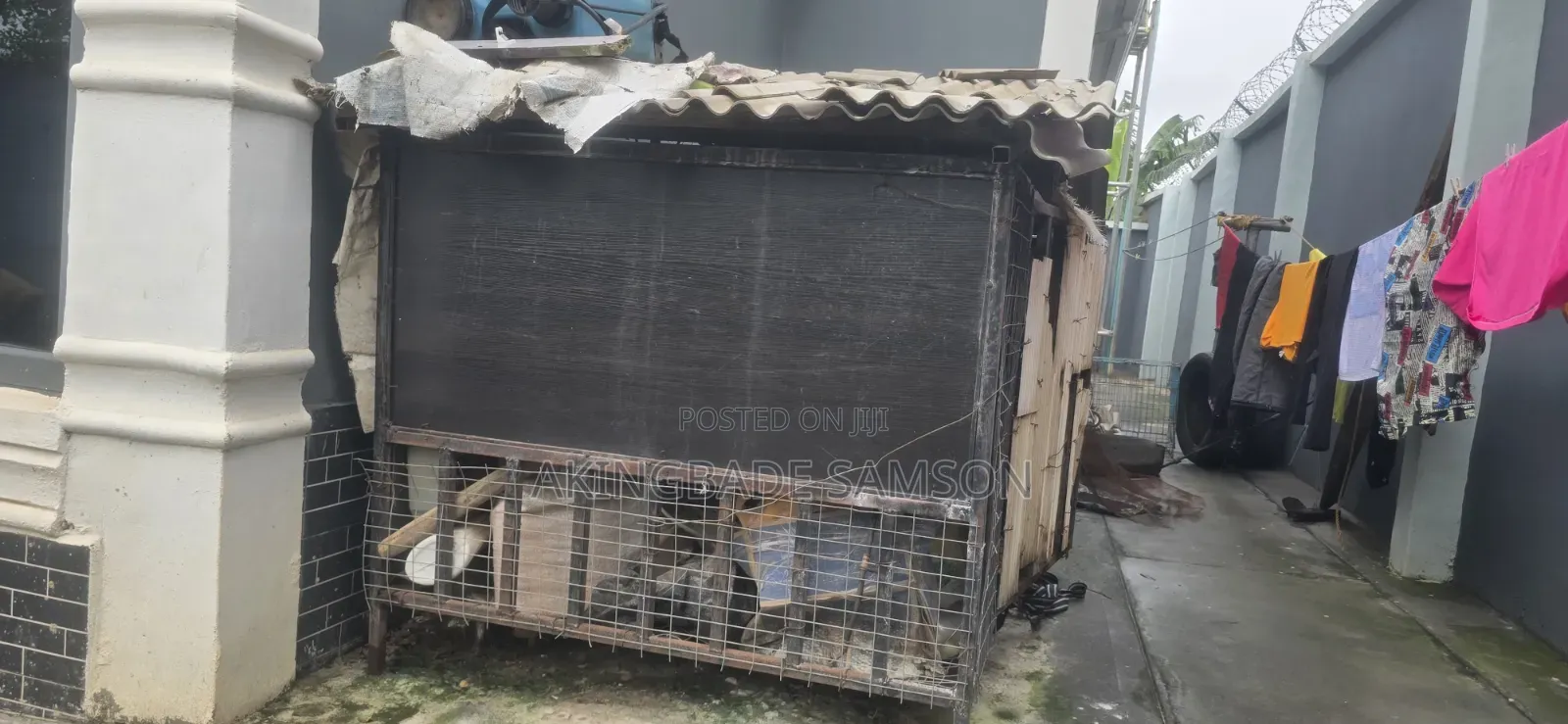 Solid 2 Compatment Spacious 8ft by 4ft Iron Cage
