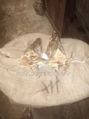 Haddock Fish (Okporoko)
