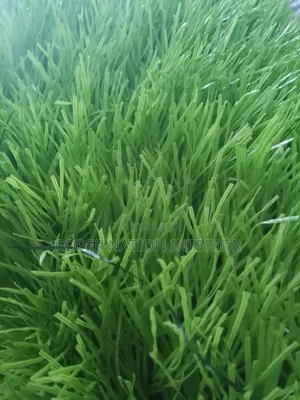 Artificial Grass 50 Mm. Available in Bundles. In Double Colour Too.
