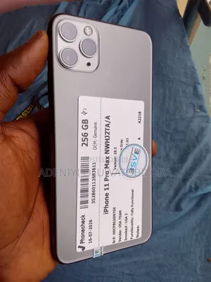 Apple iPhone 11 Pro Max 256 GB Gray
