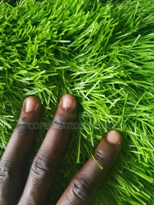 Artificial Grass 40 Mm. Available in Bundles. Authenticated Grass.