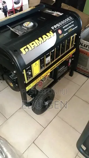 Original Firman Generator FPG8800E2 100%copper Coil