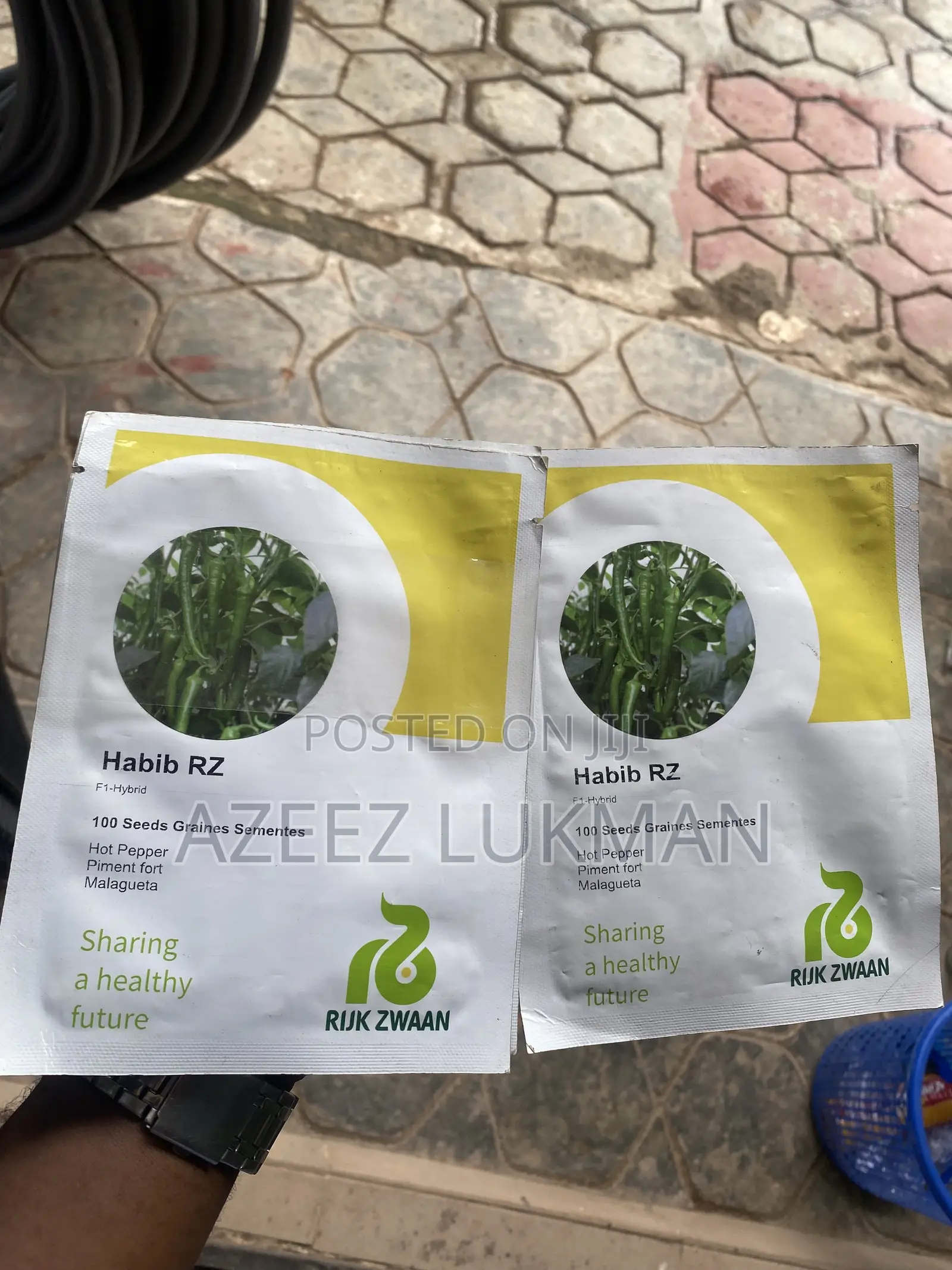 Habib RZ Hot Pepper