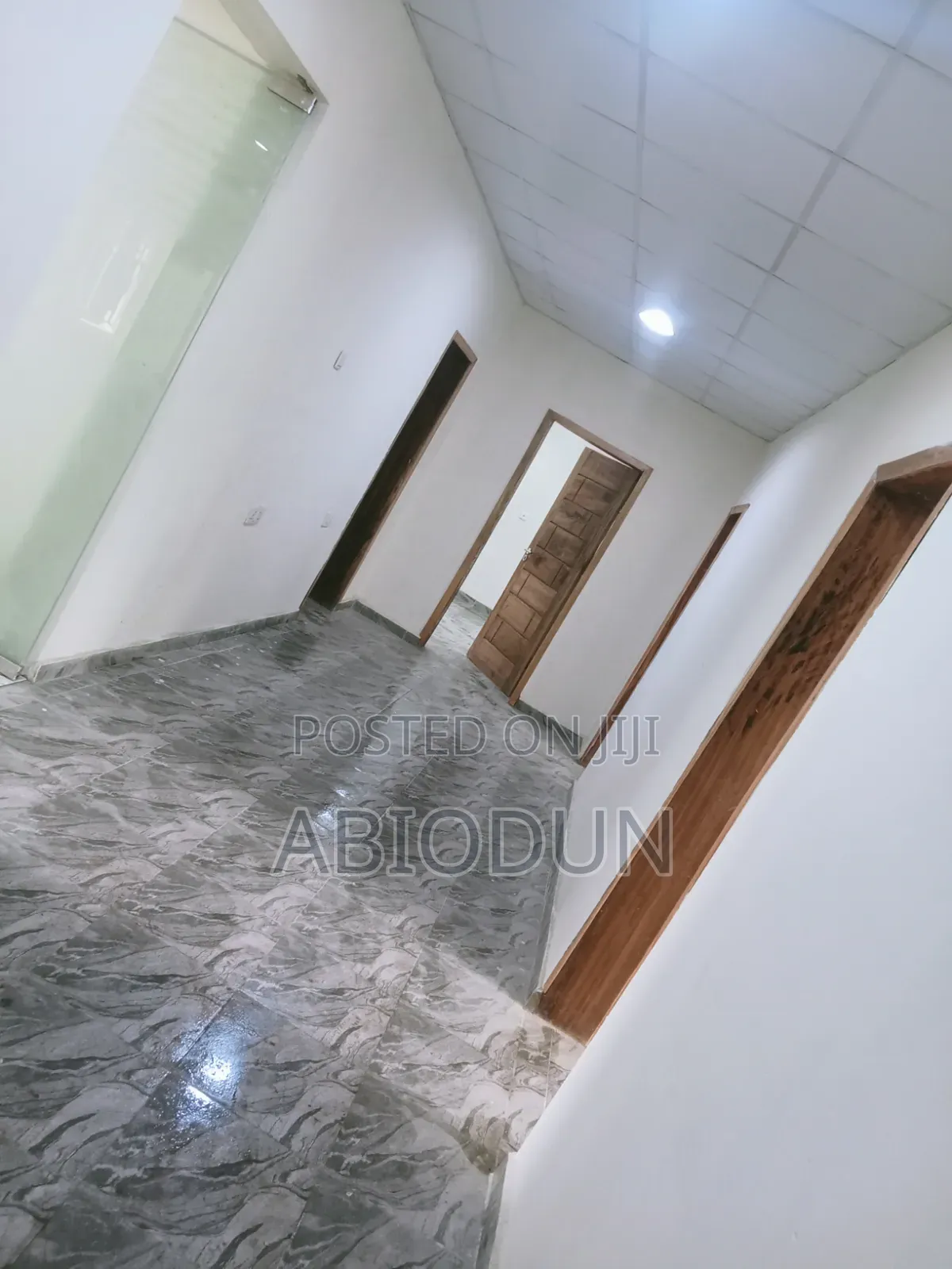 Professional Painter, Screeder and Tyrolean Applicator