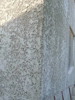 Professional Painter, Screeder and Tyrolean Applicator