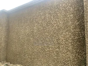Professional Painter, Screeder and Tyrolean Applicator
