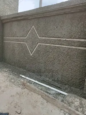 Professional Painter, Screeder and Tyrolean Applicator