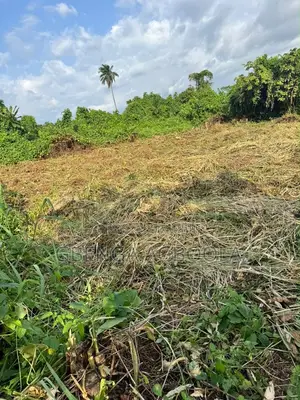 Land for Sale in Uwvie Ugbolokposo