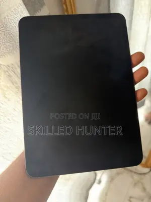 Apple iPad Pro 11 (2024) 256 GB Gray