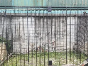 Iron Bars for Construction