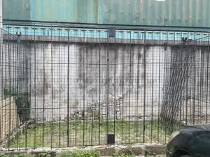 Iron Bars for Construction