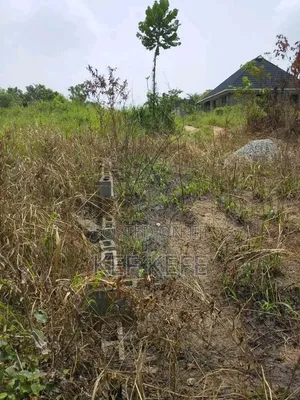 A Plot of Land for Sell