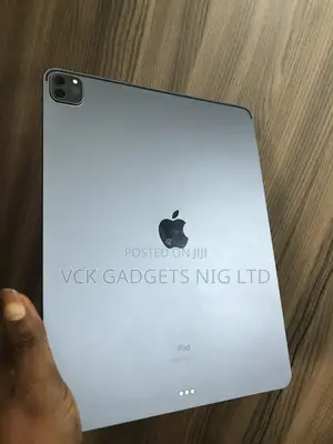 Apple iPad Pro (2022) 256 GB Gray