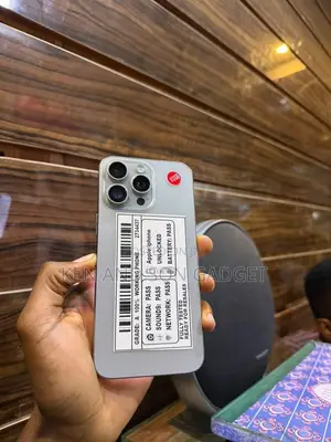 Apple iPhone 15 Pro Max 256 GB Silver