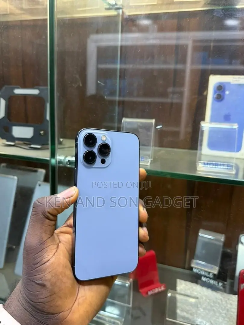 Apple iPhone 15 Pro Max 256 GB Silver