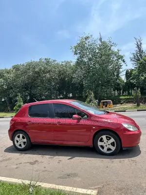 Peugeot 307 2008 Red