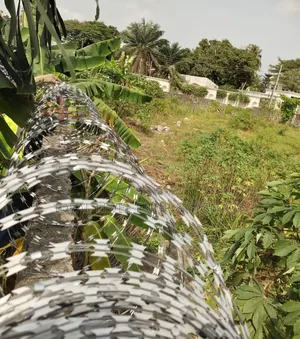 Galvanised Barbed Wires