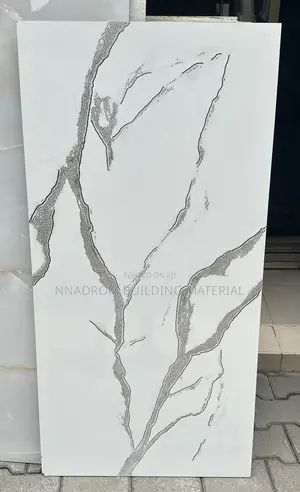 60/120 Modern Unique Designs Wall and Floor Tile