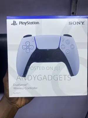 Sony Ps5 Pad