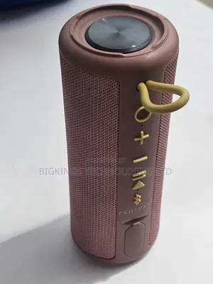 Fairly Used Proscan Portable Bluetooth Speaker