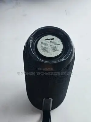 2Boom BT345 Portable Wireless Bluetooth Speaker