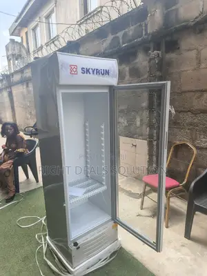 Skyrun SC 228FN a Smart Chilling Solution for Modern Retail Businesses