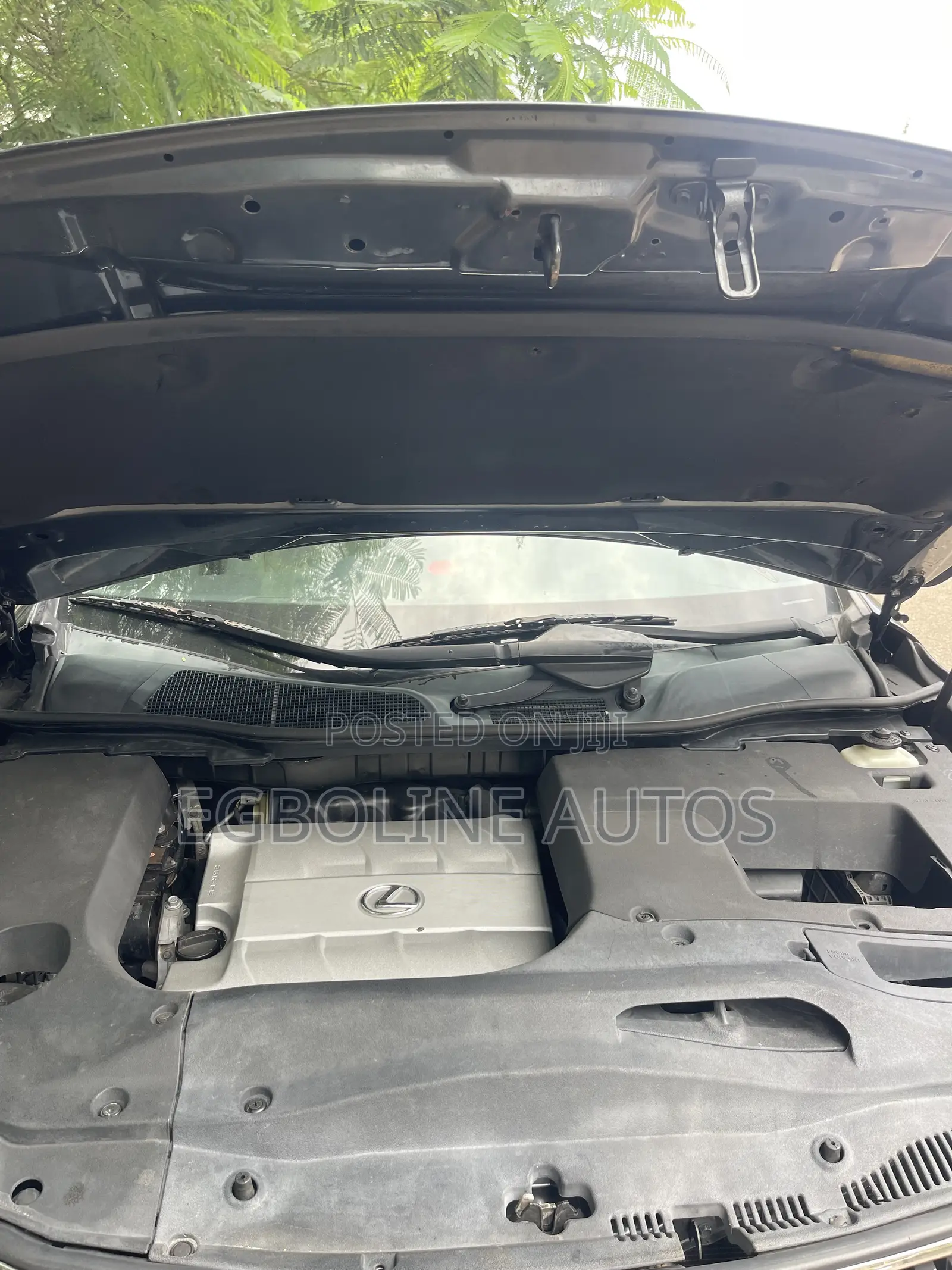 Lexus RX 350 2010 Gray