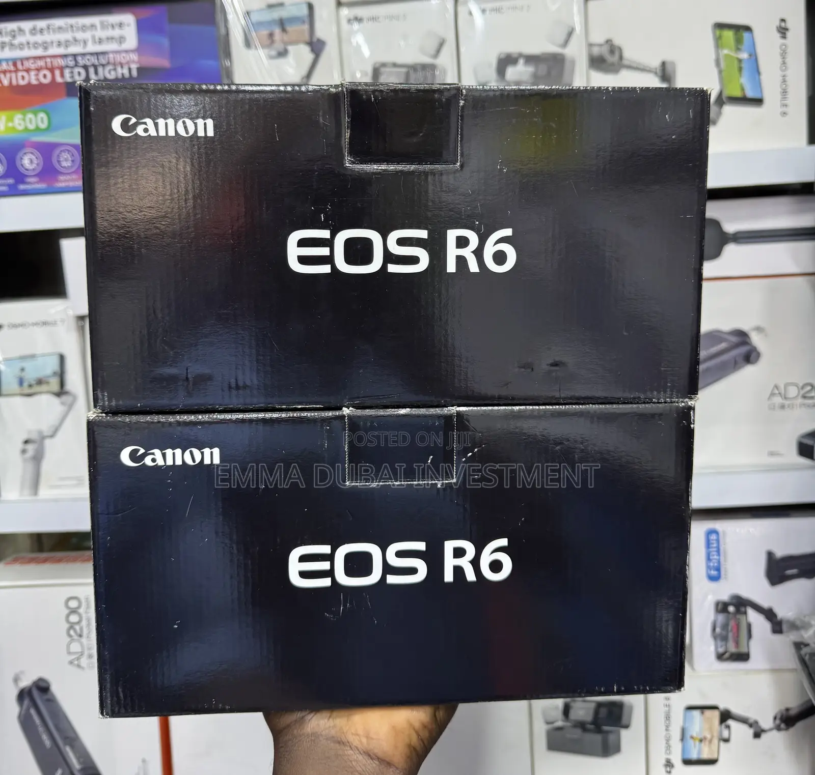 Canon R6 Camera