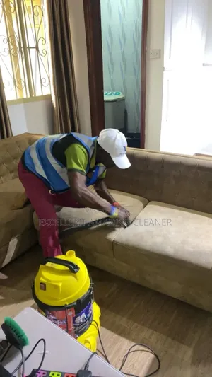 Excellent Sofa Cleaning