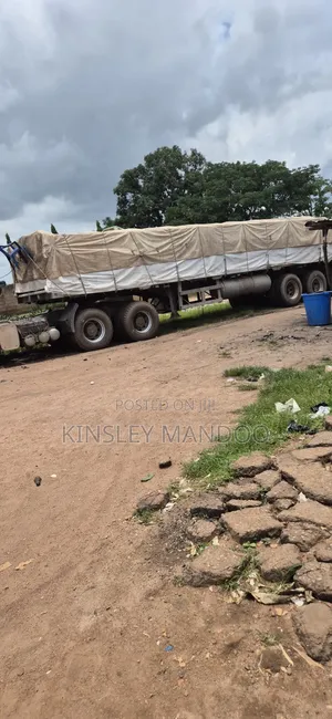 Dangote and Bua Cement