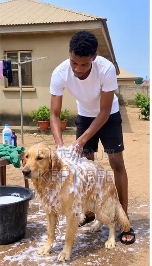 Bathing/Grooming of Your Dog